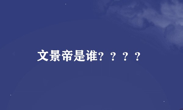 文景帝是谁？？？？