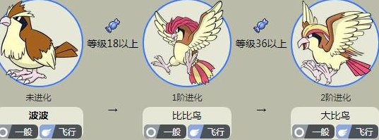 《精灵宝可梦》波波几级进化？
