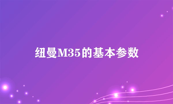 纽曼M35的基本参数