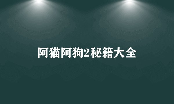 阿猫阿狗2秘籍大全