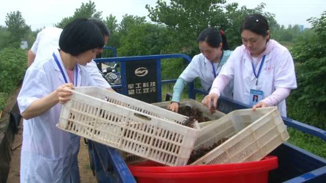 上海一女子做龙虾吃,给龙虾做抗原检测,此举是否真的有必要?