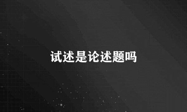 试述是论述题吗