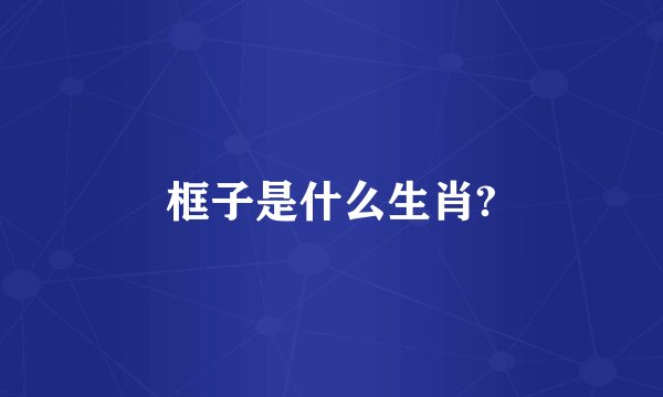 框子是什么生肖?