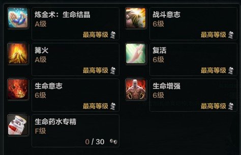 洛奇英雄传杖娘加点,不要拿复制的黑我,技能名字要正确