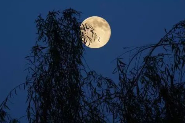 我寄相思与明月的全诗