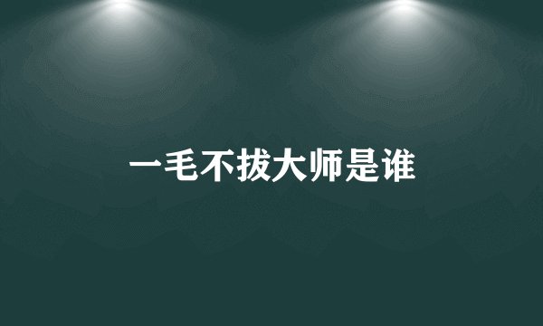 一毛不拔大师是谁