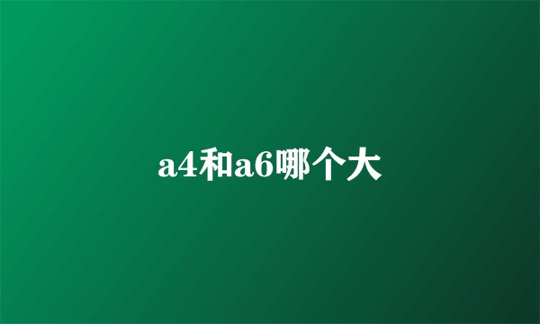 a4和a6哪个大