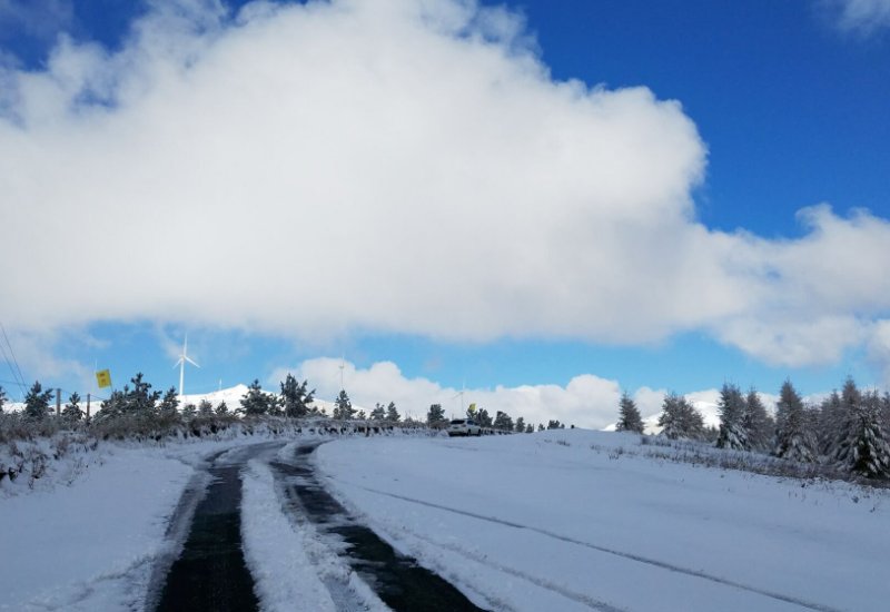 关于冬至的词语和好句