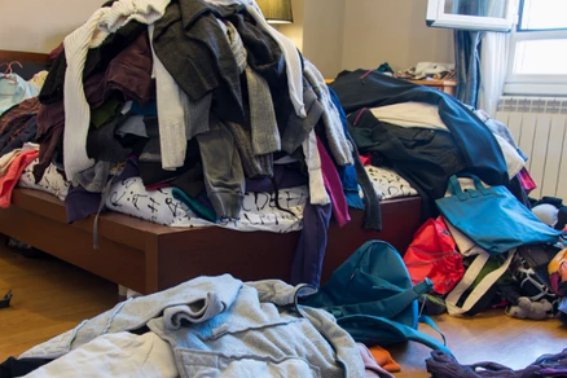 杂的拼音部首组词