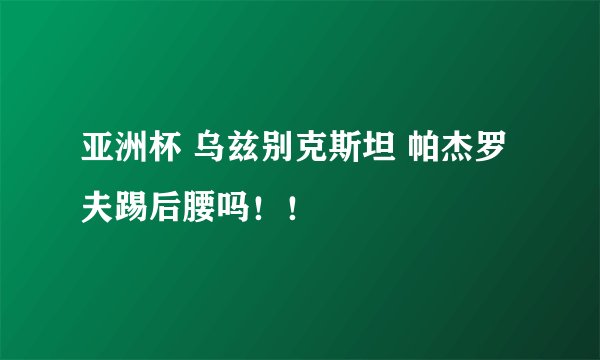 亚洲杯 乌兹别克斯坦 帕杰罗夫踢后腰吗！！