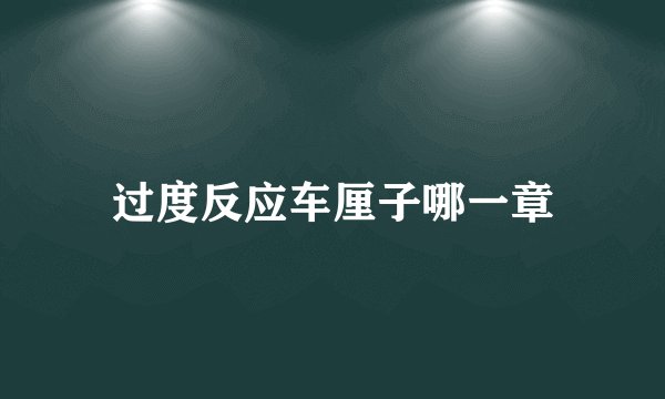 过度反应车厘子哪一章