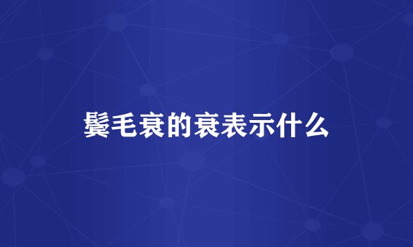 鬓毛衰的衰表示什么