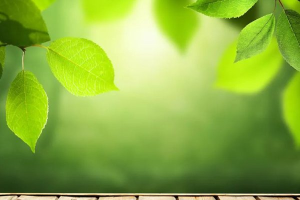 轻便的意思是什么