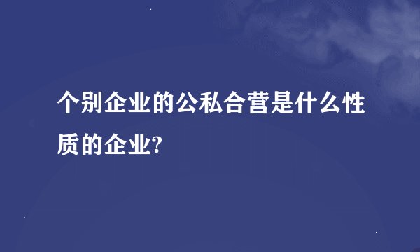 个别企业的公私合营是什么性质的企业?