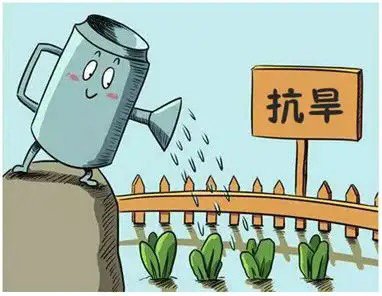 湖北超过100万人参与抗旱,为什么湖北今年会大旱?