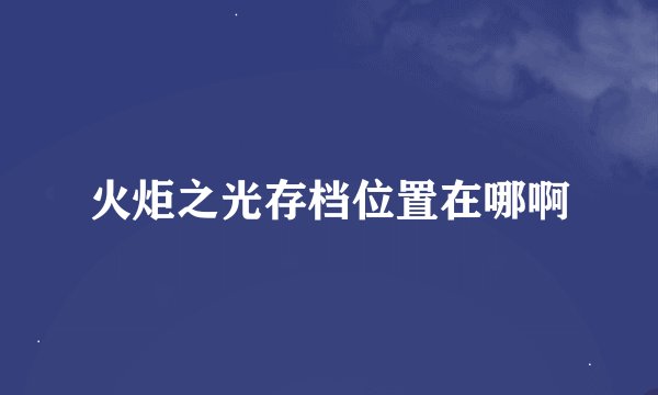 火炬之光存档位置在哪啊