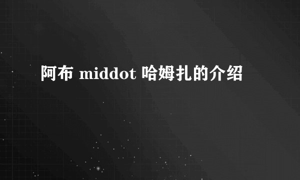 阿布 middot 哈姆扎的介绍