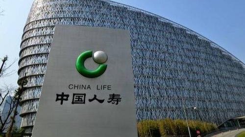 国华人寿保险公司好吗？