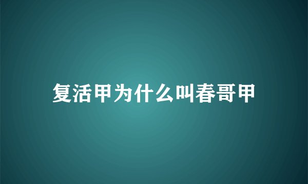 复活甲为什么叫春哥甲