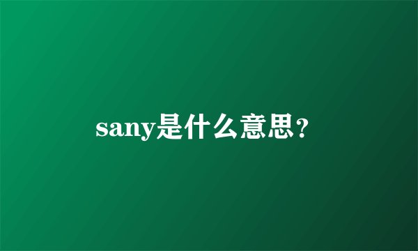 sany是什么意思？