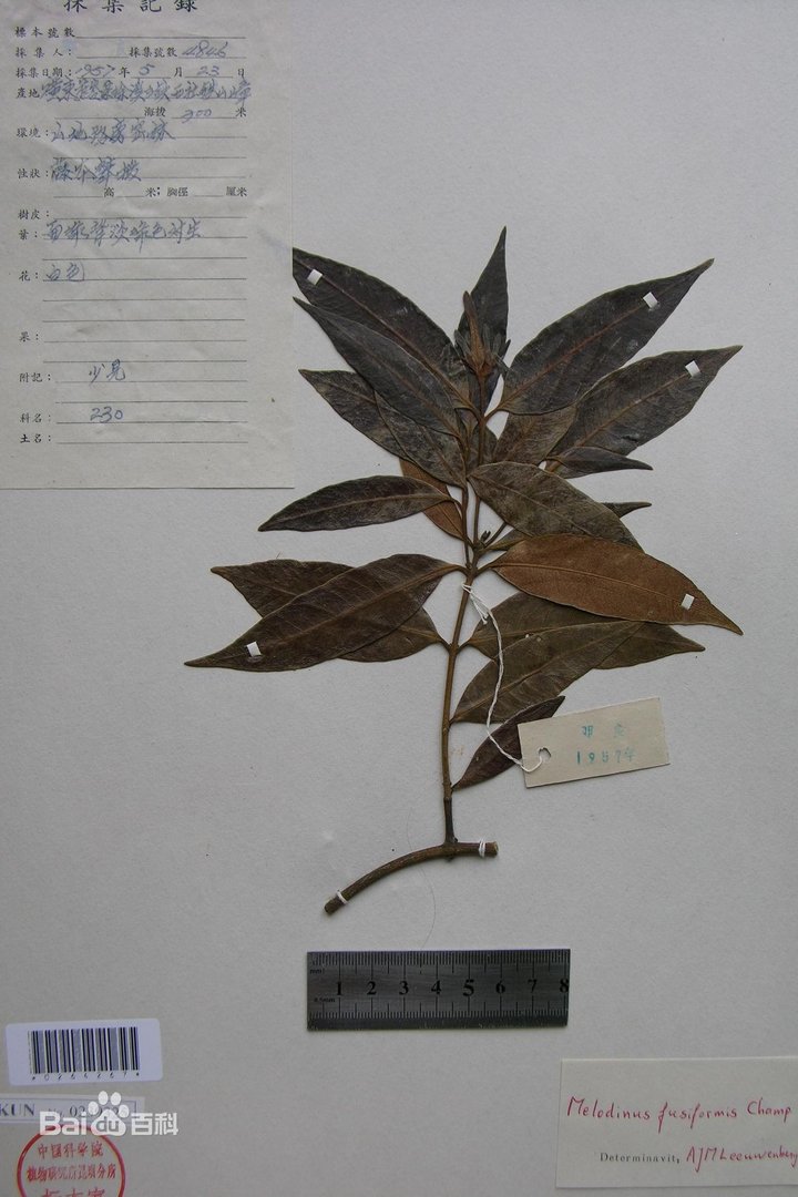 中国数字植物标本馆的介绍