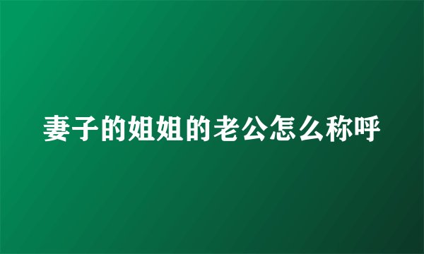 妻子的姐姐的老公怎么称呼