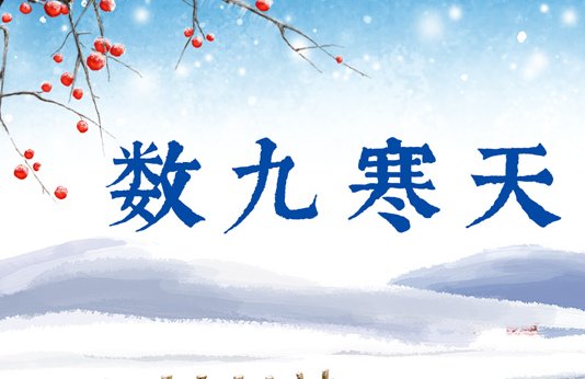 什么时候交九冬至后几天开始数九