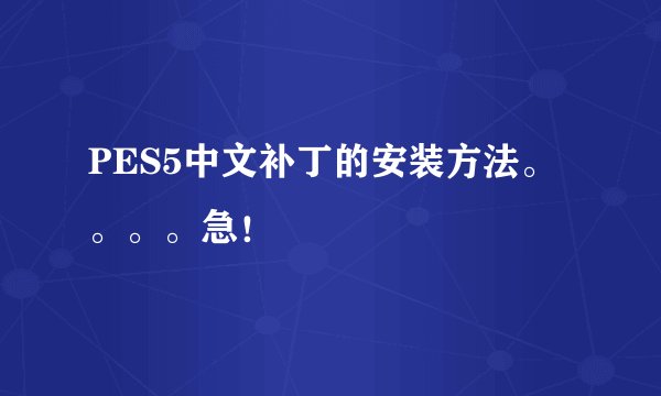 PES5中文补丁的安装方法。。。。急！