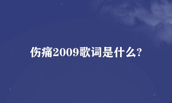 伤痛2009歌词是什么?