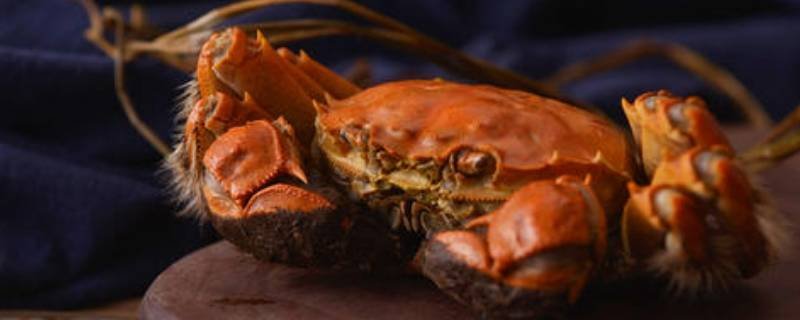螃蟹放冰箱保鲜可以放几天