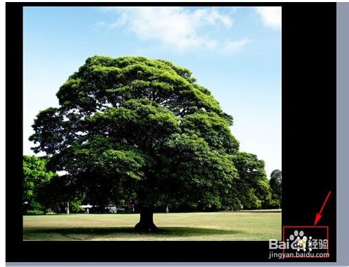 怎样让插入在PPT里的音乐，在翻页时继续播放而不是停止。