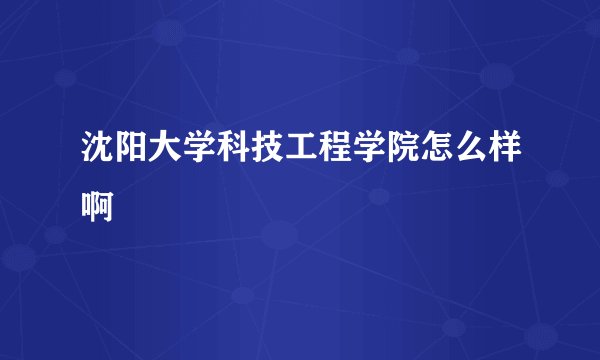 沈阳大学科技工程学院怎么样啊
