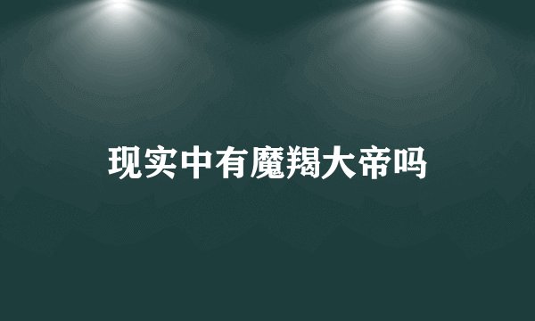现实中有魔羯大帝吗