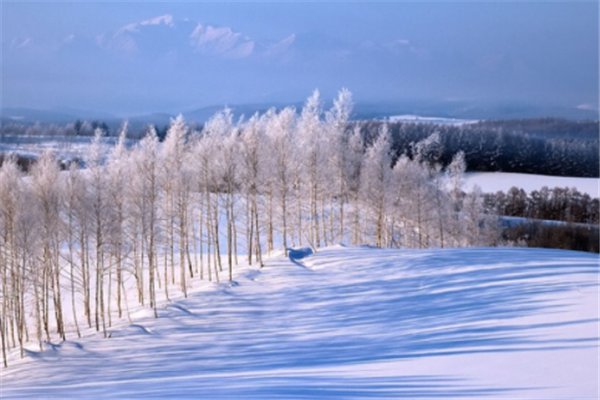 强冷空气影响江苏,最低气温跌至零下,此次冷空气会持续多久?