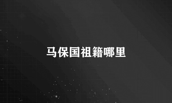 马保国祖籍哪里