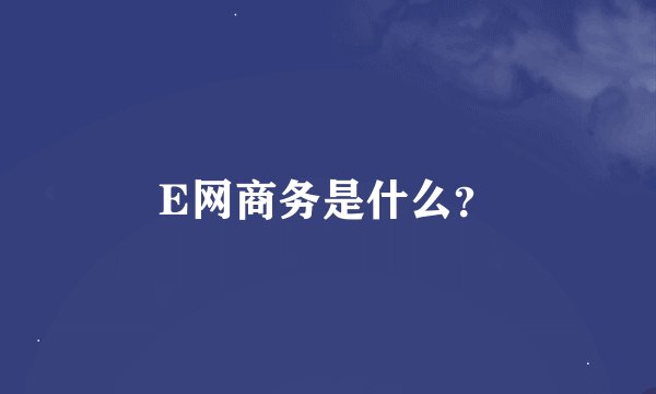 E网商务是什么？