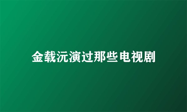 金载沅演过那些电视剧