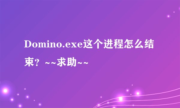 Domino.exe这个进程怎么结束？~~求助~~