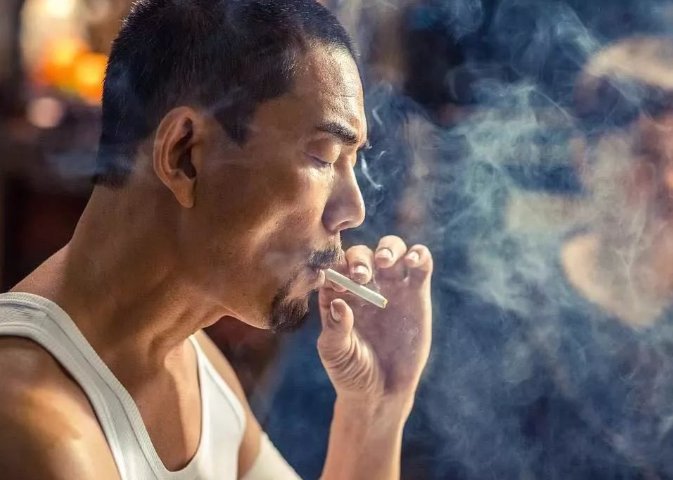 树大招风为什么被禁止