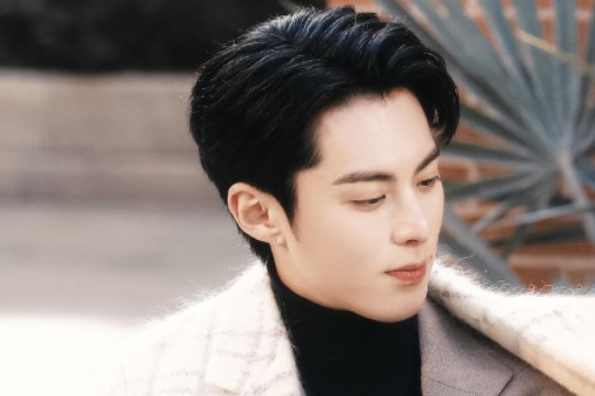 以爱为营多少集