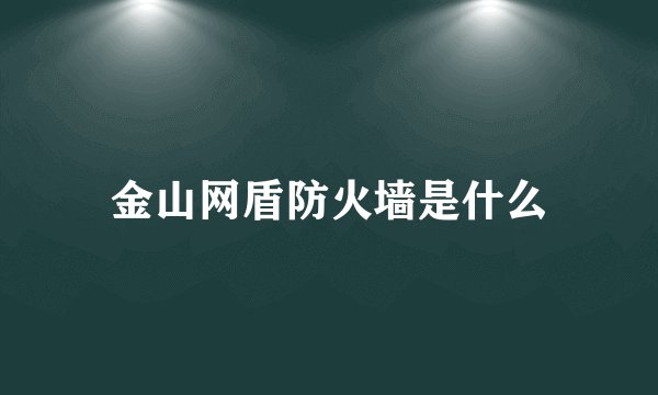 金山网盾防火墙是什么