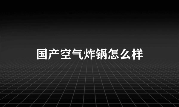 国产空气炸锅怎么样