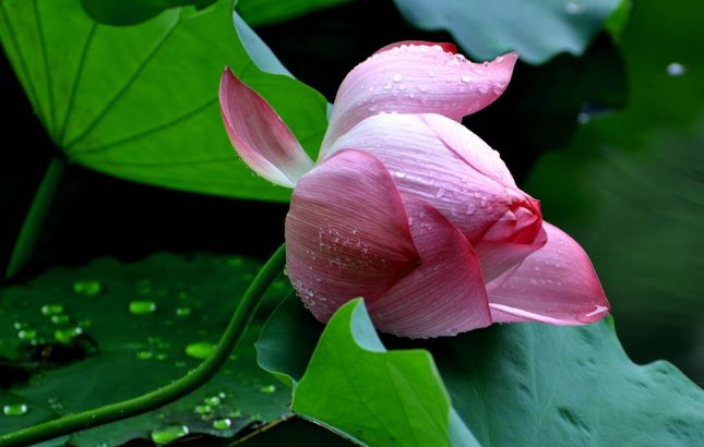 雨后,无论是什么,还是什么,都怎么样的填空