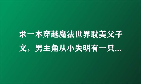 求一本穿越魔法世界耽美父子文，男主角从小失明有一只鸟为他引路且不能学习魔法，他父亲将他送去森林并