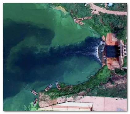 日本东电称排污入海最经济实惠，怎么看待他们的这种观点？