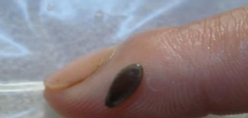 山村惊现春秋大墓，有着47具棺木，有怎样的意义？