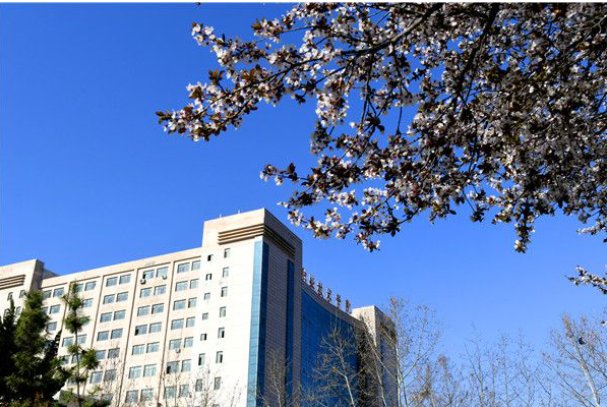 平原大学现在叫什么大学？