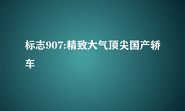 标志907:精致大气顶尖国产轿车