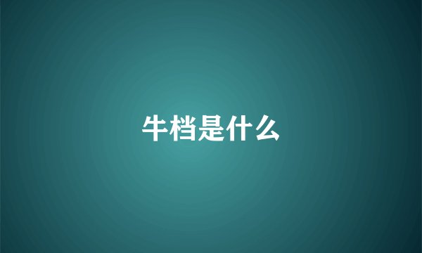 牛档是什么