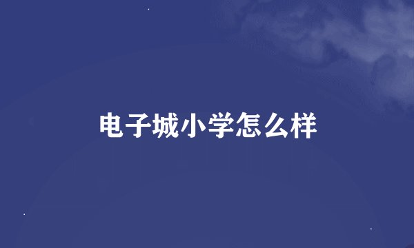 电子城小学怎么样